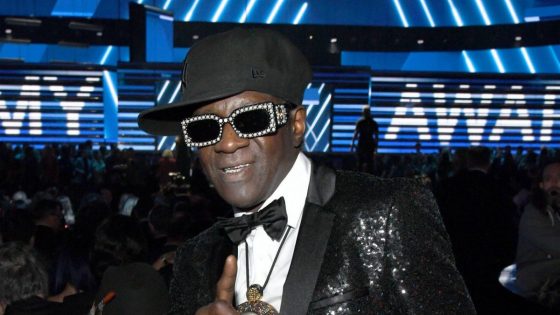 Flavor flav child support