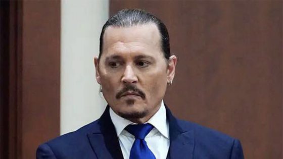 Depp and Heard GoFundMe